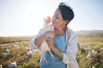 Image showing Agriculture, farm and a woman kiss chicken outdoor for animal care, development and small business. Farming, sustainability and a happy poultry farmer person with organic produce in the countryside