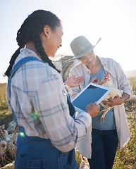 Image showing Chicken, agriculture and women farmers with tablet for live stock business research in countryside. Sustainable, digital technology and people with an animal poultry farm in eco friendly environment.