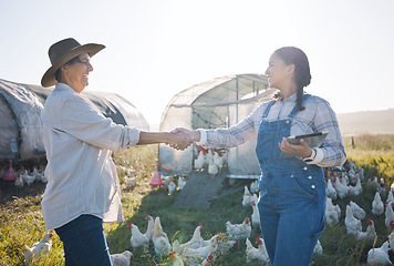 Image showing Chickens, farm and women with handshake, sustainability and agreement with partnership, agriculture and cooperation. People, thank you and poultry farmers with tablet, shaking hands and countryside