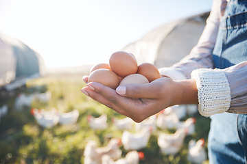 Image showing Hands of woman with eggs on farm with chickens, grass and sunshine in countryside field with sustainable business. Agriculture, poultry farming and farmer holding produce for food, nature and animals