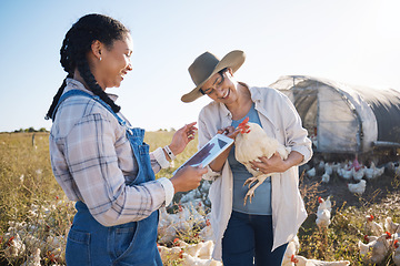 Image showing Teamwork, tablet or people farming chicken on field or agriculture for natural sustainability research. Technology, seller or happy farmers in countryside with live stock or rooster for production