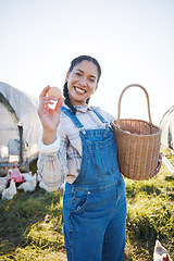 Image showing Egg, portrait and happy woman farming chicken in countryside for eco friendly dairy production. Natural sustainability, small business owner or proud farmer with animals on field or organic barn