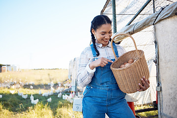 Image showing Woman with eggs in basket on farm chicken on grass, smile and sunshine in countryside field for sustainable business. Agriculture, poultry farming and happy farmer holding food in nature with animals