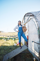 Image showing Smile, woman and eggs in basket on farm with chicken, grass and sunshine in countryside field for sustainable business. Agriculture, poultry farming and happy farmer with food in nature and coop.