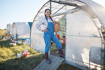 Image showing Chicken farming, smile and woman with eggs in basket, coop and sunshine in countryside greenhouse with sustainable business. Agriculture, poultry farm and happy farmer with food, animals and nature.