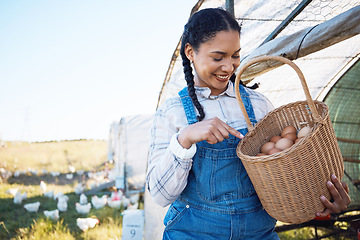 Image showing Woman counting eggs on farm with chicken, grass and sunshine in countryside field for sustainable business. Agriculture, poultry farming and happy farmer holding basket of food in nature with animals