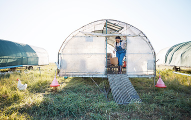 Image showing Chicken coop, woman with basket of eggs and birds in grass in countryside greenhouse with sustainable business in field. Agriculture, poultry farm and farmer working with food, animals and nature.