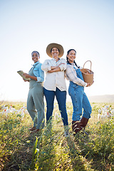 Image showing Chicken, women and a working together on a farm with technology for inspection and quality control. Farming, sustainability and portrait of farmer group with eggs outdoor for teamwork and production