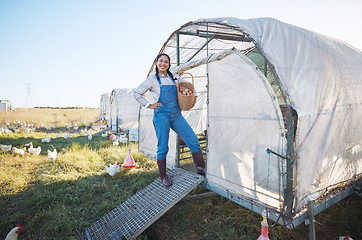 Image showing Chicken farming, happy woman with eggs in basket, coop and sunshine in countryside greenhouse with sustainable business. Agriculture, poultry farm and farmer with smile, food and animals in nature.