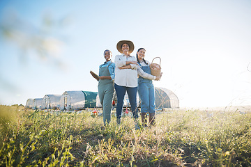 Image showing Farmer team, women and together on a farm for inspection, production and quality control. Farming, sustainability and portrait of group of people with eggs outdoor for teamwork in countryside