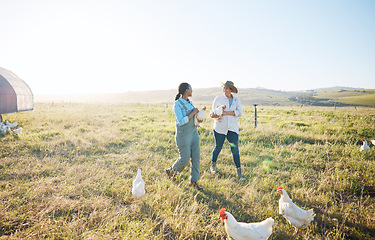 Image showing Walking, teamwork or farmers farming chicken on farm or field harvesting poultry livestock in small business. Dairy production, collaboration or women with animal birds or rooster for sustainability