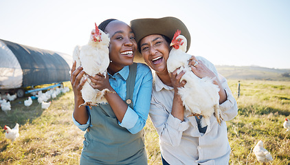 Image showing Portrait, teamwork or farmers chicken on farm or field harvesting poultry livestock in small business. Dairy production, collaboration or happy women with animal, hen or rooster for sustainability