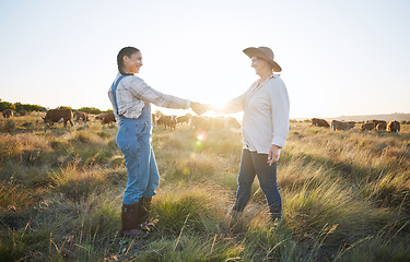 Image showing Farmers, shaking hands or b2b partnership deal for sustainability, agriculture or meat production on field. Success, handshake or happy people meeting in cattle farming small business collaboration