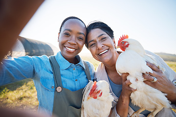 Image showing Smile, selfie or farmers on farm with chickens on field harvesting poultry livestock in small business. Social media, happy or portrait of women with animal or hen to take a photo for farming memory