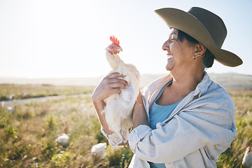 Image showing Farmer, senior woman and agriculture, chicken and field with sustainability and livestock. Poultry farm, agro business and free range, countryside and environment with nature and happy with animal