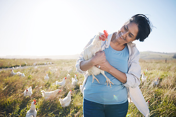 Image showing Farm, agriculture and a woman outdoor with a chicken for animal care, development and small business. Farming, sustainability and farmer person with organic or free range produce in countryside