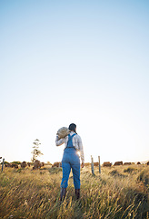 Image showing Walking, bag or farmer farming cattle in grass field harvesting production in small business to trade. Back, mockup space or woman working with sack for animal sustainability or cows on countryside