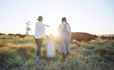 Image showing Walking, teamwork or farmers farming cattle on field harvesting poultry livestock in small business. Dairy production, collaboration or women carrying tank for animal sustainability or cows in nature