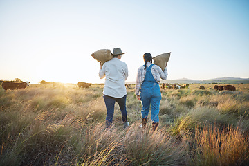 Image showing People, bag or farmers walking to cattle on field harvesting poultry livestock in small business together. Dairy production, teamwork or women carrying sack for animal growth or cattle in nature