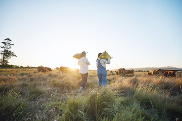 Image showing People, sack or farmers walking to cattle on field harvesting or farming livestock in small business together. Dairy production, teamwork or women carrying bags for animal growth or cows in nature