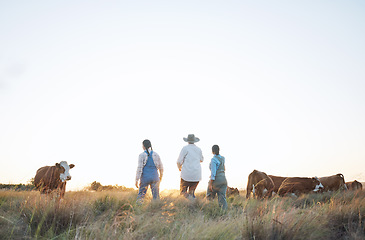 Image showing Farm, countryside and women in field with cow for inspection, livestock health and animal care. Agro business, agriculture and people with cattle for dairy, beef production and sustainable farming