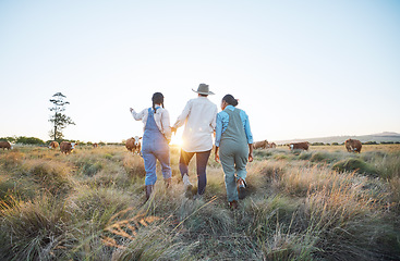 Image showing Sunrise, agriculture and women on farm with cow for inspection, livestock health or ecology. Agro business, countryside and back of people and cattle for dairy, beef production or sustainable farming