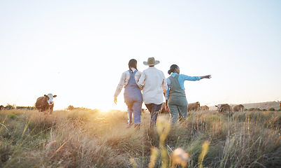 Image showing Farm, agriculture and women in field with cow pointing for inspection, livestock health or ecology. Agro business, countryside and people with cattle for dairy, beef production or sustainable farming