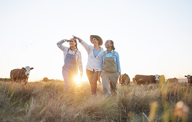 Image showing Farm, agriculture and women with cow pointing for inspection, livestock and animal health. Agro business, countryside and people planning with cattle for dairy, beef production or sustainable farming