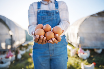 Image showing Woman with eggs in hands, farm and chickens on grass in sunshine in countryside field with sustainable business. Agriculture, poultry farming and farmer holding produce for food, nature and birds.