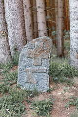 Image showing Boundary marker on rock at forest