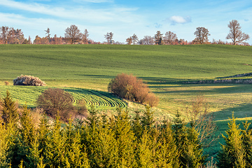 Image showing Beautiful green spring rural landscape