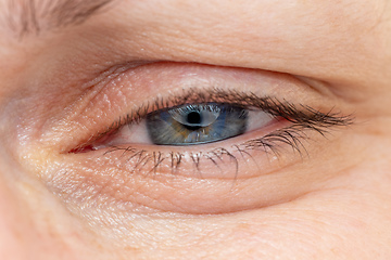 Image showing Middle age woman eye macro