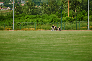 Image showing A cameraman filming the participants of the Paralympic race on the marathon course