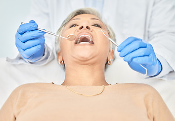 Image showing Tools, mature woman and hands of dentist in healthcare, check and dental wellness in clinic. Oral, orthodontics and patient with doctor, mirror and excavator for teeth cleaning and medical hygiene