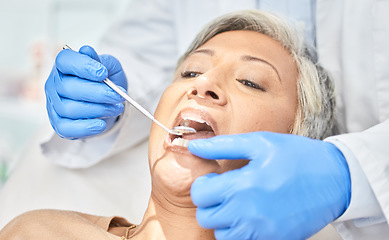 Image showing Woman, mirror and hands of dentist cleaning, check and dental wellness in clinic. Oral, orthodontics and mature patient with doctor, tools and healthcare of teeth in medical hygiene for tooth surgery