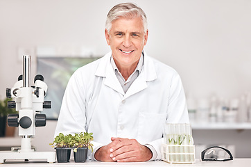 Image showing Science, botany and portrait of old man in laboratory for sustainability research, plant or biochemistry. Pharmacy, medical and healthcare with scientist and for product, ecology or agriculture study