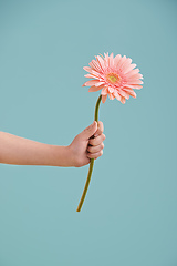 Image showing Something to brighten up your day. A little girls hand presenting a flower while isolated.