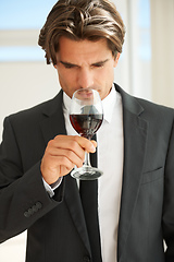 Image showing Fruity yet playful. A handsome wine connoisseur enjoying a glass of red wine.