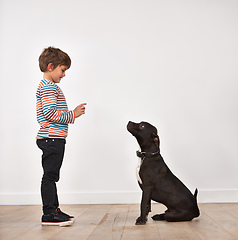 Image showing Stay. A cute little boy training his dog.