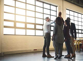 Image showing We feel good about the work we do. Shot of a diverse team of happy businesspeople high fiving each other in the office.