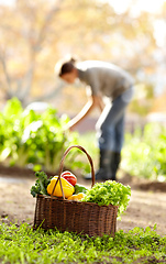 Image showing Autumn beauty. Shot of an attractive young woman in the park on an autumn day.