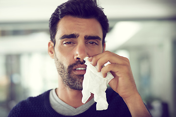 Image showing Its allergy season. Portrait of a designer suffering with allergies in an office.