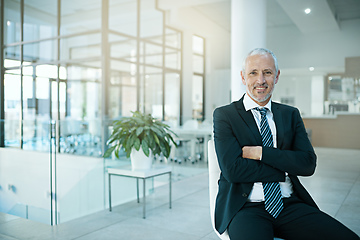 Image showing Im committed to excellence. Portrait of a man sitting on a chair in an office.