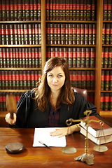 Image showing Shes an expert in the legal world. Shot of a young legal professional sitting at her desk in a study.