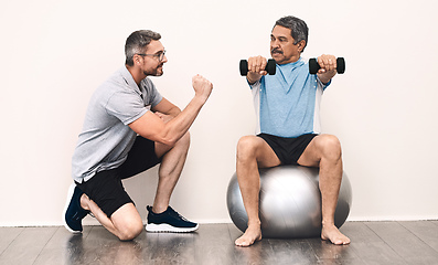 Image showing Balance is key in everything in life. Full length shot of a senior man exercising with dumbbells during a rehabilitation session with his physiotherapist.