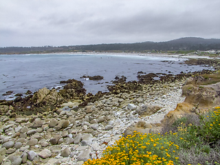 Image showing coastal scenery in California