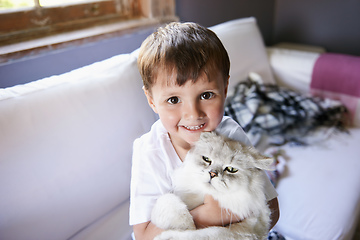 Image showing Kitty love. A young boy sitting on a couch and holding his cat.