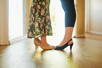 Image showing Its a bond for life. Cropped shot of a mother and her little daughter wearing high heels at home.