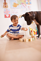 Image showing They love playing together. A young boy playing with building blocks in his room while his dog watches.