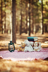 Image showing Its time for a picnic in the park. Shot of teddybears sitting on a picnic blanket in the woods.